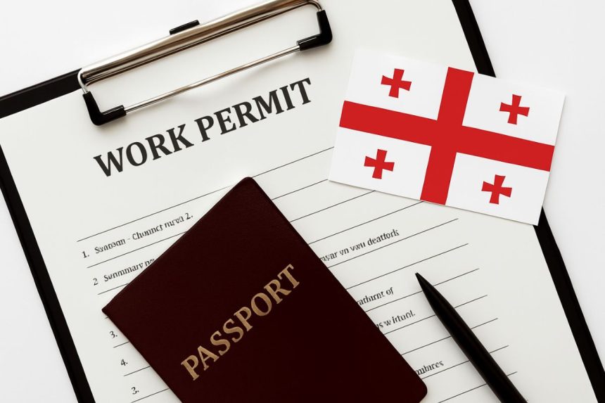 Georgia to introduce mandatory work permits for foreigners