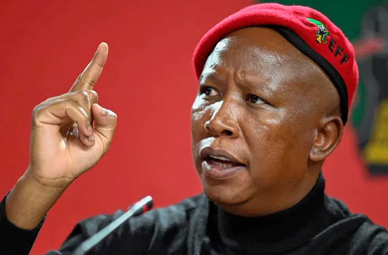 Julius Malema advocates stronger Nigeria–South Africa ties for Africa’s future