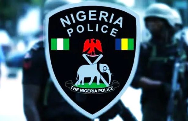 Nigeria: Police uncover over 100 bodies in suspected organ-harvesting den in Imo