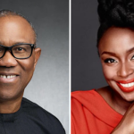 Obi wants to serve, not rule - Chimamanda Ngozi Adichie
