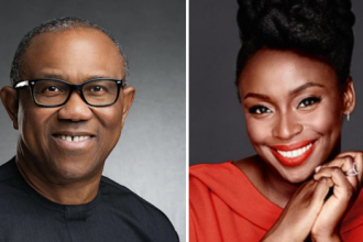 Obi wants to serve, not rule - Chimamanda Ngozi Adichie