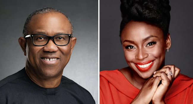 Obi wants to serve, not rule - Chimamanda Ngozi Adichie