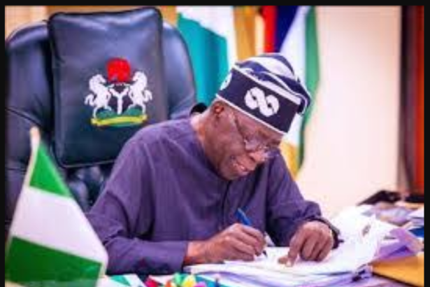IMF and IFC applaud Tinubu’s reforms, call for consistency