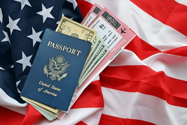Nigeria: FG to impose reciprocal visa measures over U.S. social media rule