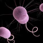 Infections of Drug-Resistant ‘Nightmare Bacteria’ surging in U.S Hospitals