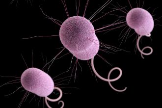 Infections of Drug-Resistant ‘Nightmare Bacteria’ surging in U.S Hospitals