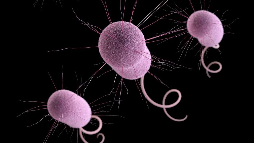 Infections of Drug-Resistant ‘Nightmare Bacteria’ surging in U.S Hospitals