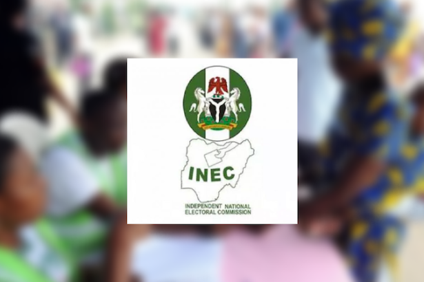 INEC clears 14 political associations in initial screening for party registration