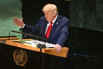 As Trump roasts the United Nations. By Chido Nwangwu
