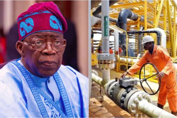 USAfrica: Ogoni group warns Tinubu against resumption of oil drilling, exploration