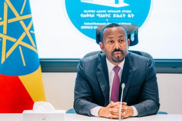 Ethiopia seeks to restructure commercial debt into concessional loans