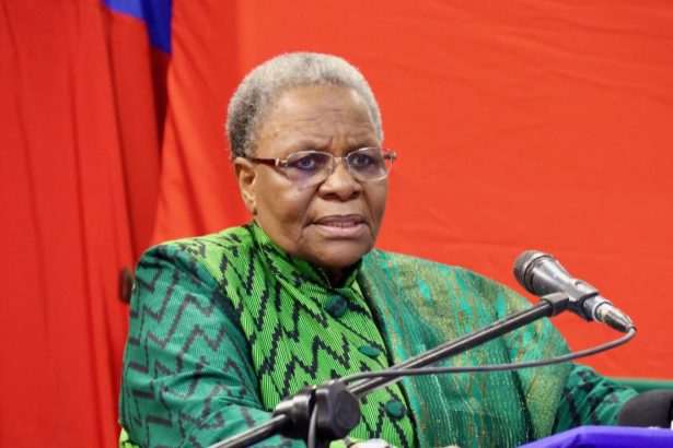 Namibian President sacks deputy PM and Energy Minister