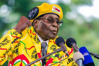 President Mugabe's party loses majority in Zimbabwe Parliament