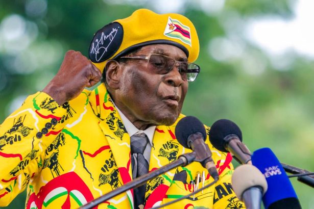 President Mugabe's party loses majority in Zimbabwe Parliament