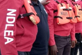 Nigeria: NDLEA nabs suspected drug kingpin at Lagos airport