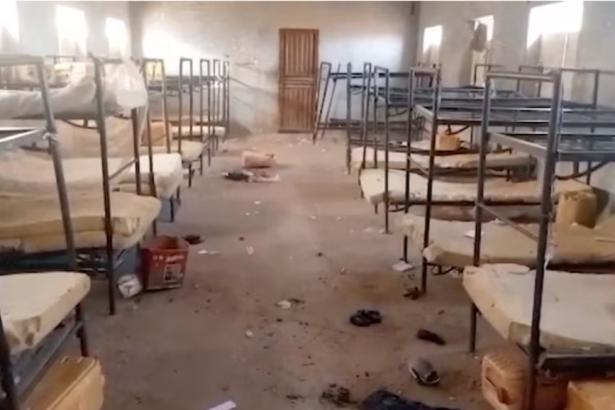 Kidnapped Kebbi schoolgirls regain freedom, says official