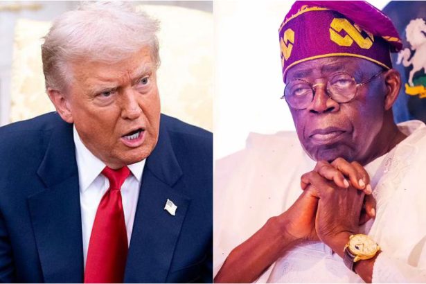 Nigeria’s delegation to Washington: A diplomatic misstep with serious implications. By Nuhu Dawisu Kuje