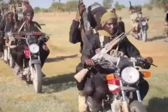 Nigeria's "repentant" bandits resume attacks in Kaduna, other communities