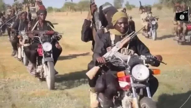 Nigeria's "repentant" bandits resume attacks in Kaduna, other communities