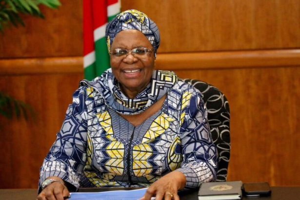 Namibia appoints new minister for mines and energy