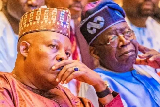 APC dismisses plot to drop Shettima as Tinubu’s 2027 running mate