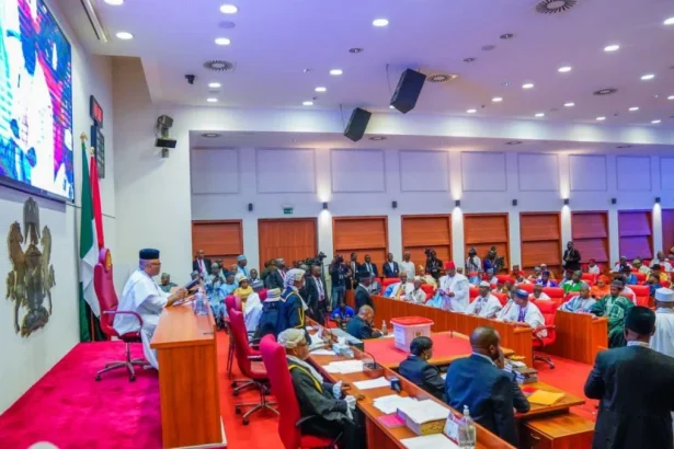 Nigeria: Chaos in House of Reps over real-time election results clause