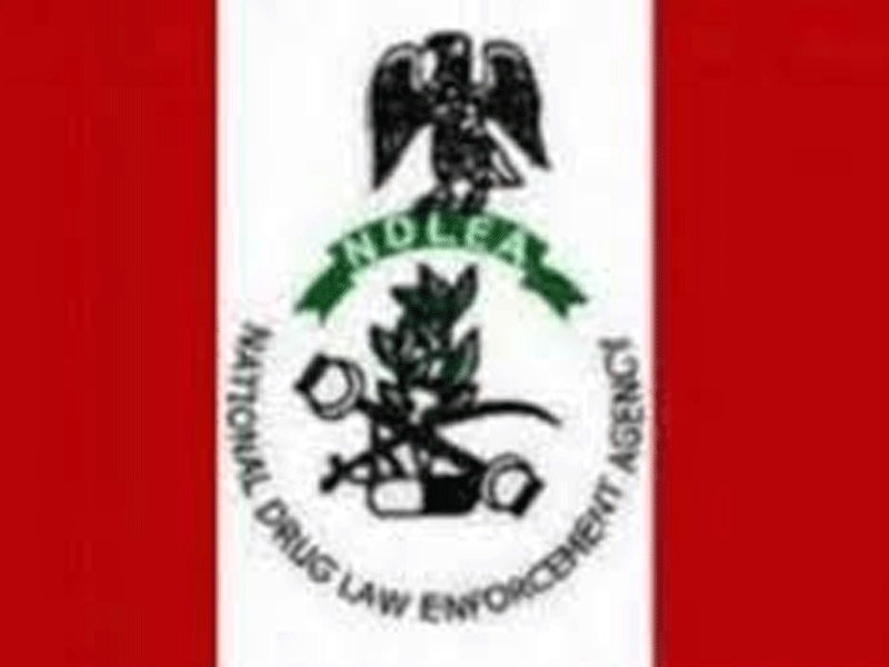 NDLEA Launches Nationwide Training for Counsellors to Enhance Drug Rehabilitation Standards
