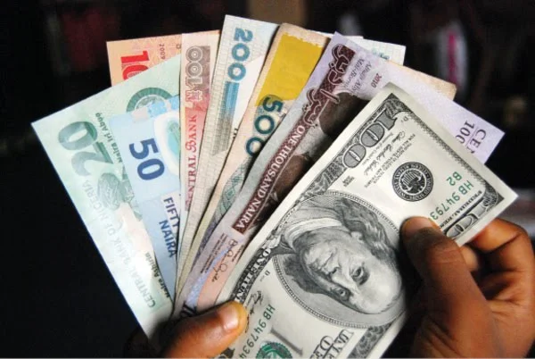 'Mugu' in USA: Nigerian sentenced to 12 yrs for $1.3m in 4-1-9 scam