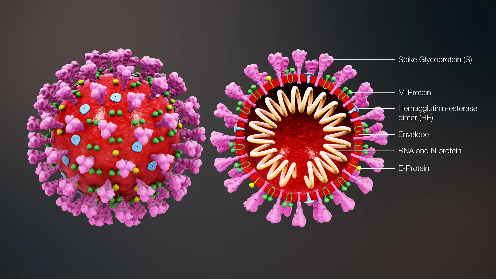 Killer pandemic, 750,000 Americans killed by COVID, so far. By Chido Nwangwu