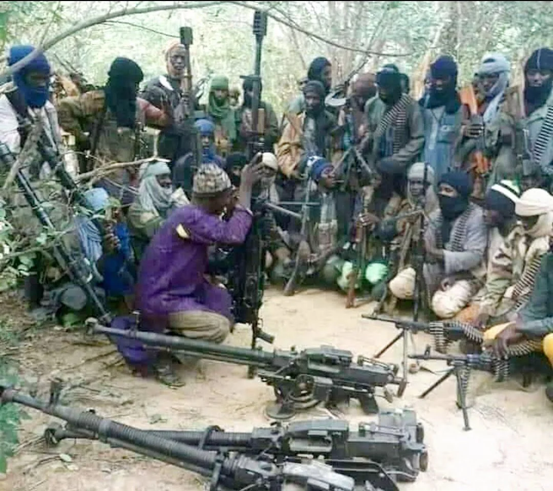 Jihadists, Boko Haram in Nigeria using TikTok to spread ideology, recruit fighters