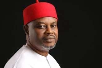 USAfrica: Nnaji's forgery controversy and Abati's needless attack on UNN. By Chris Agbedo