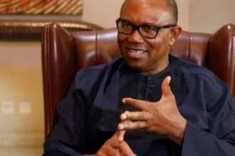 Ningi: Obi calls for clarity on alleged budget padding amid senator's suspension