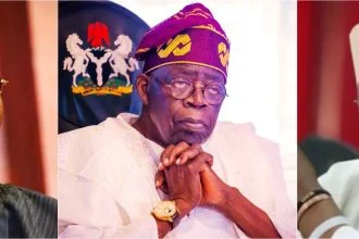 Tinubu’s presidency and Nigeria’s electricity, power palaver. By Chido Nwangwu