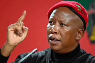 South African opposition leader Julius Malema convicted in firearms case