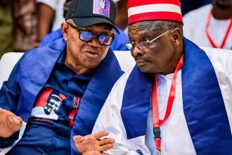Beyond Tribe, Political Theatre and Test of Nigeria’s Democratic Maturity. By Asiegbu Agwu Nkpa
